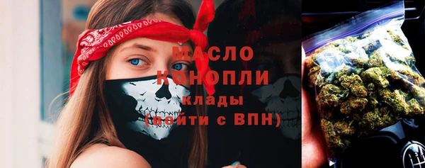 индика Волгодонск