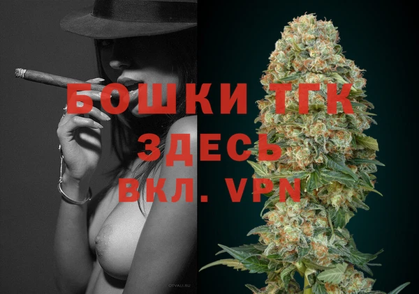 мдма Новодвинск