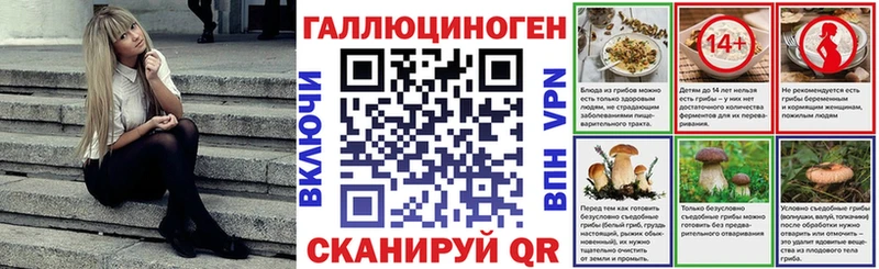 Галлюциногенные грибы Psilocybine cubensis  Отрадный 