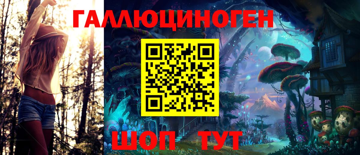 Галлюциногенные грибы Psilocybe  Вход с VPN  Отрадный 